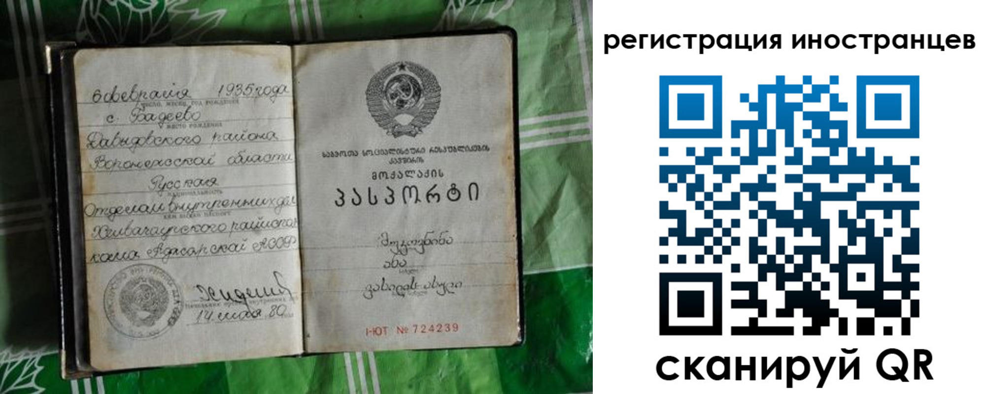 где прописаться в Боре